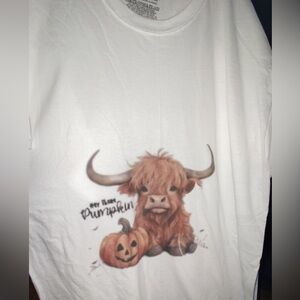 Super cute tee shirt